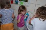 opis zdjecia